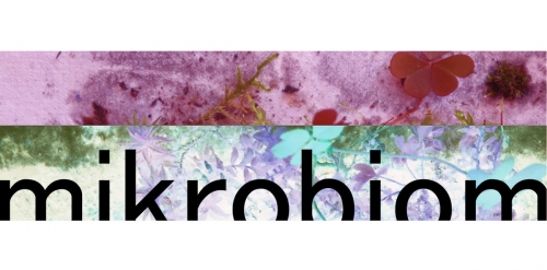 „Mikrobiom” – wernisaż wystawy